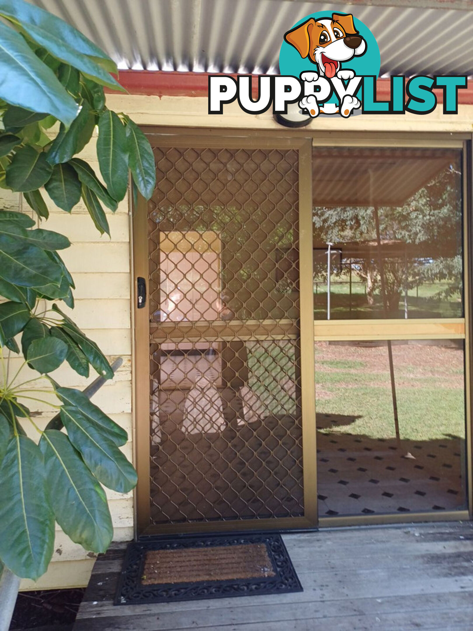 261 Smithfield Road Gatton QLD 4343