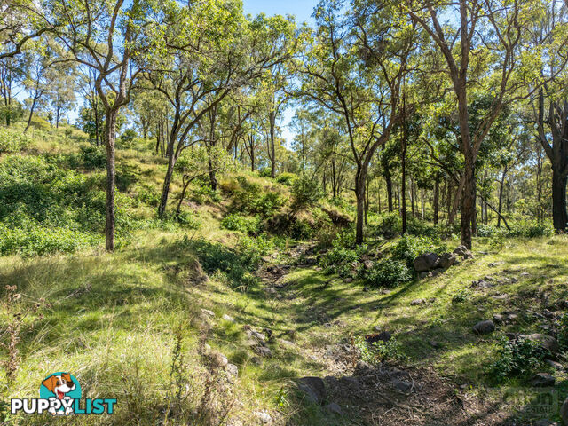 130 Goltz Road Black Duck Creek QLD 4343