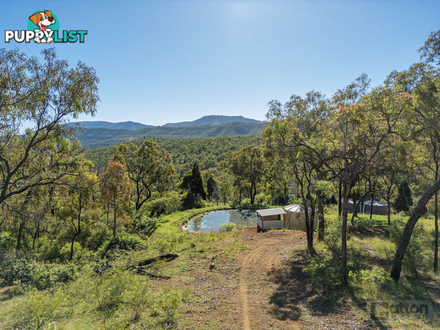 130 Goltz Road Black Duck Creek QLD 4343