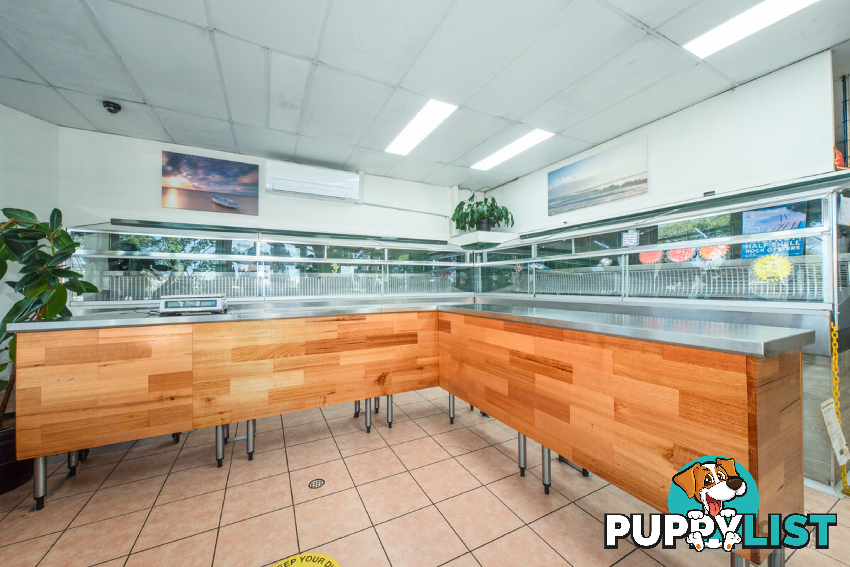 125 Spencer Street Gatton QLD 4343