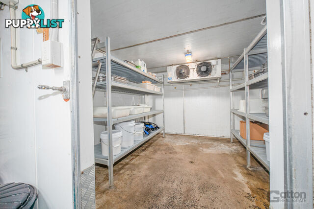 125 Spencer Street Gatton QLD 4343
