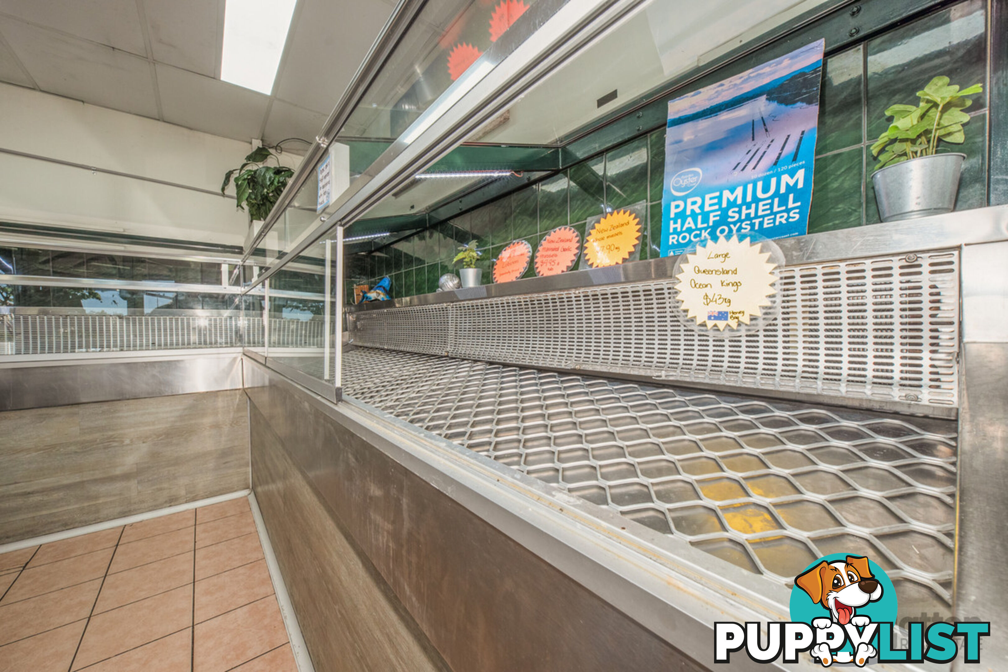 125 Spencer Street Gatton QLD 4343