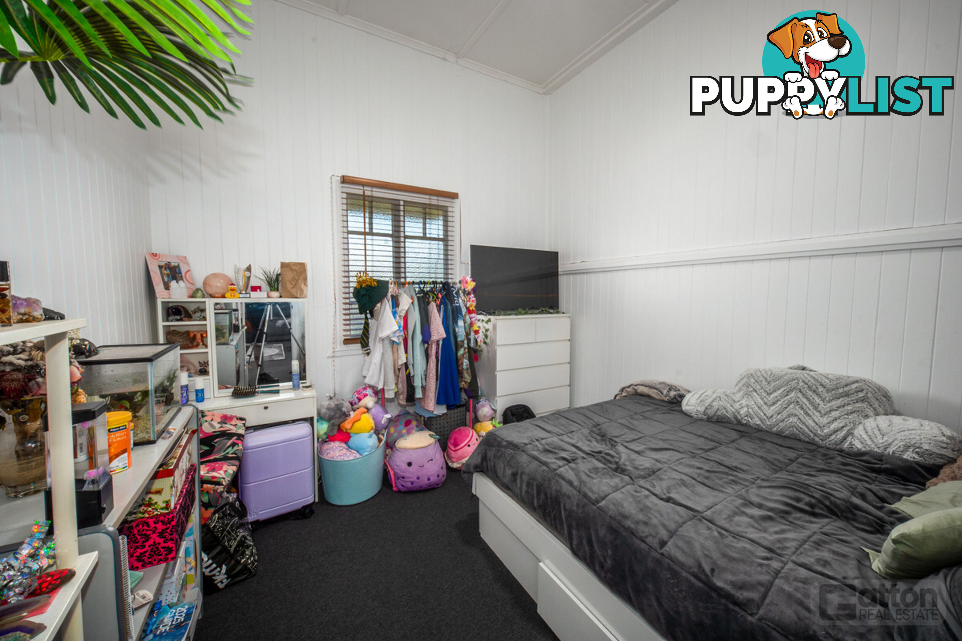 10 Maitland Street Gatton QLD 4343