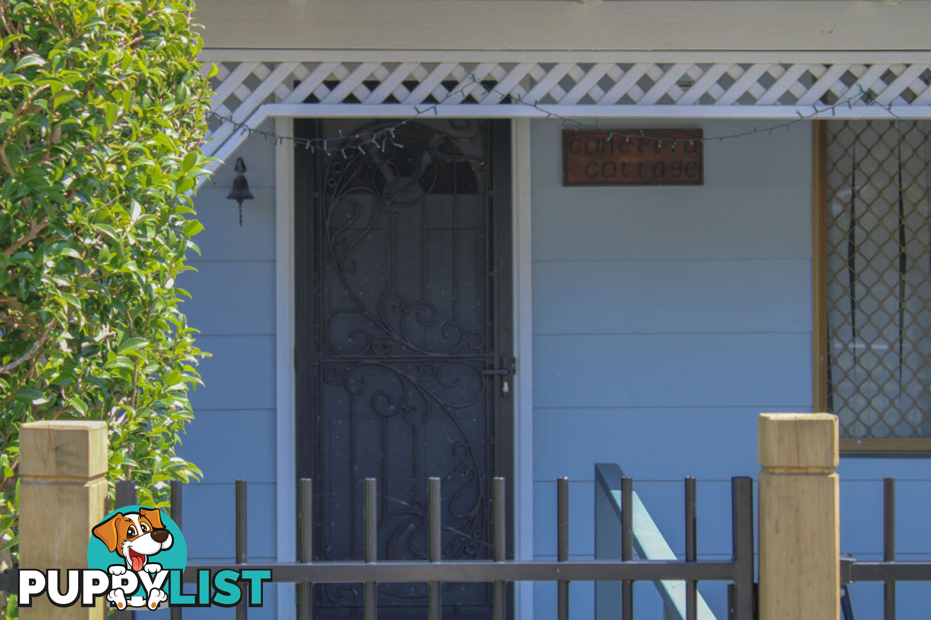 25 Hodgson Street CRESCENT HEAD NSW 2440