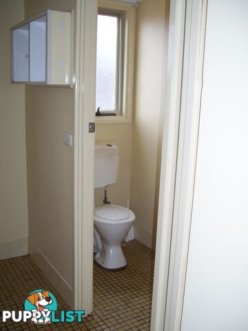 6 Jones Street BERRI SA 5343
