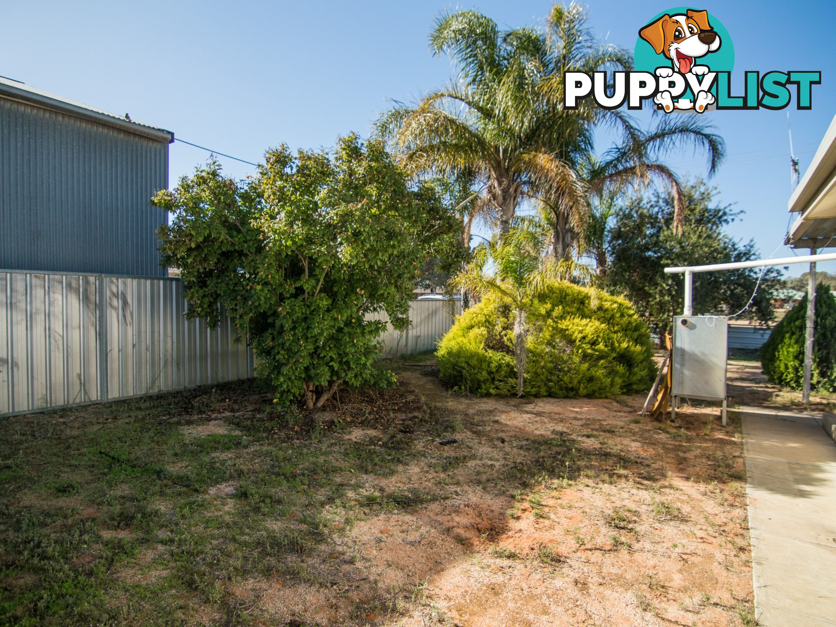 13 Rowe Street COBDOGLA SA 5346