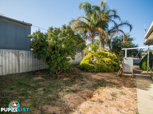 13 Rowe Street COBDOGLA SA 5346
