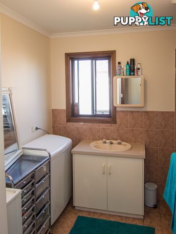 13 Rowe Street COBDOGLA SA 5346