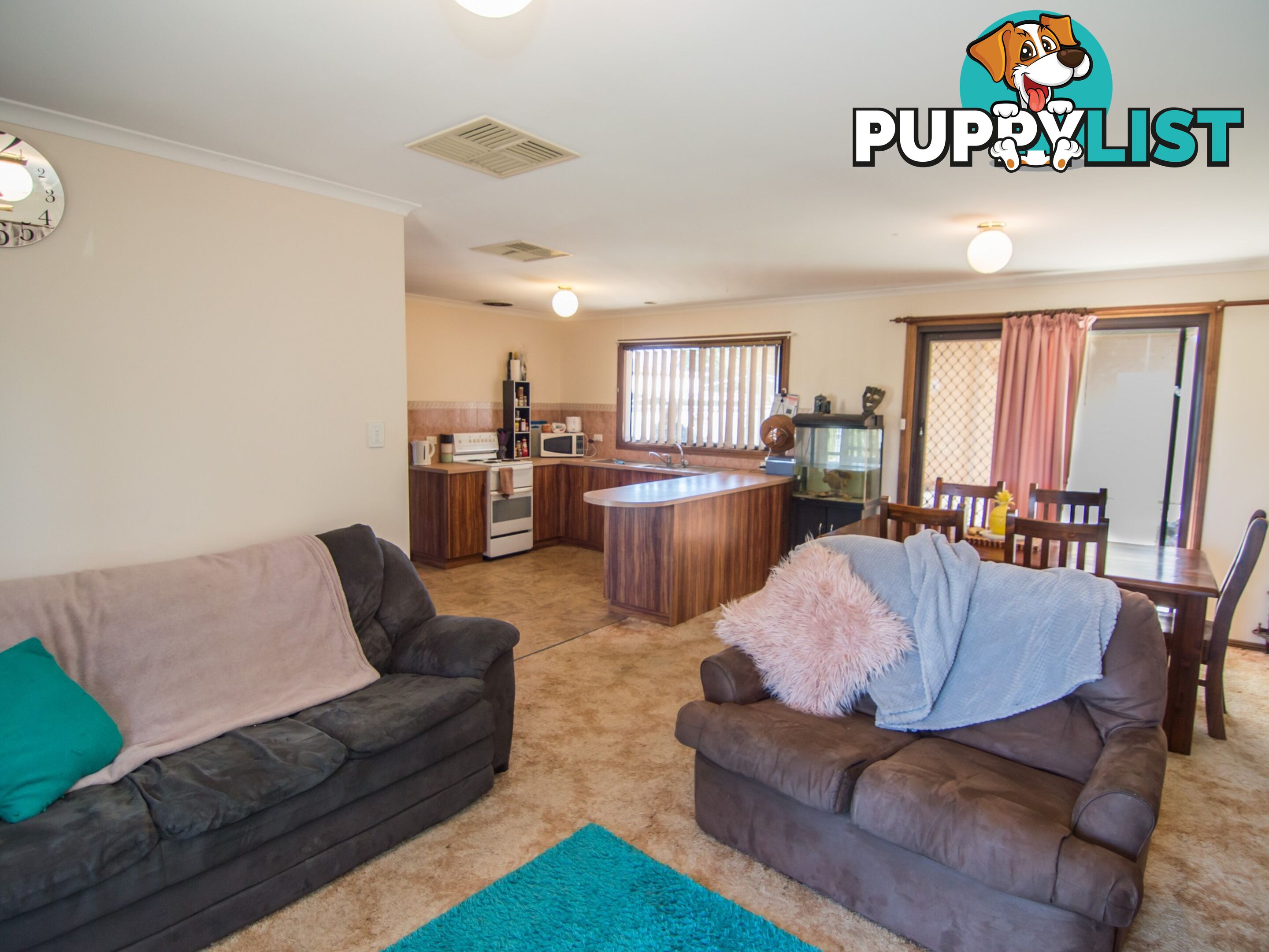 13 Rowe Street COBDOGLA SA 5346