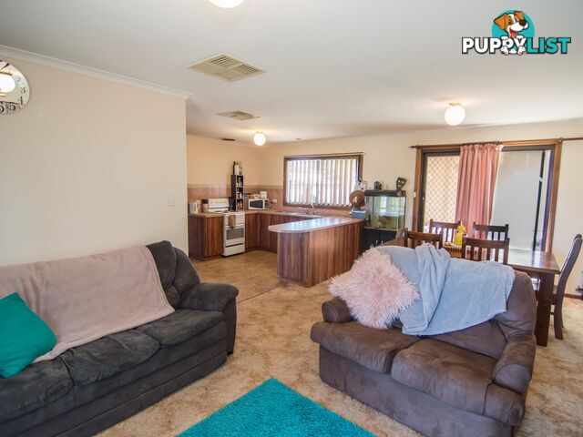 13 Rowe Street COBDOGLA SA 5346