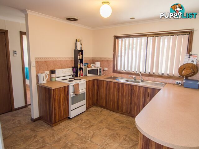 13 Rowe Street COBDOGLA SA 5346