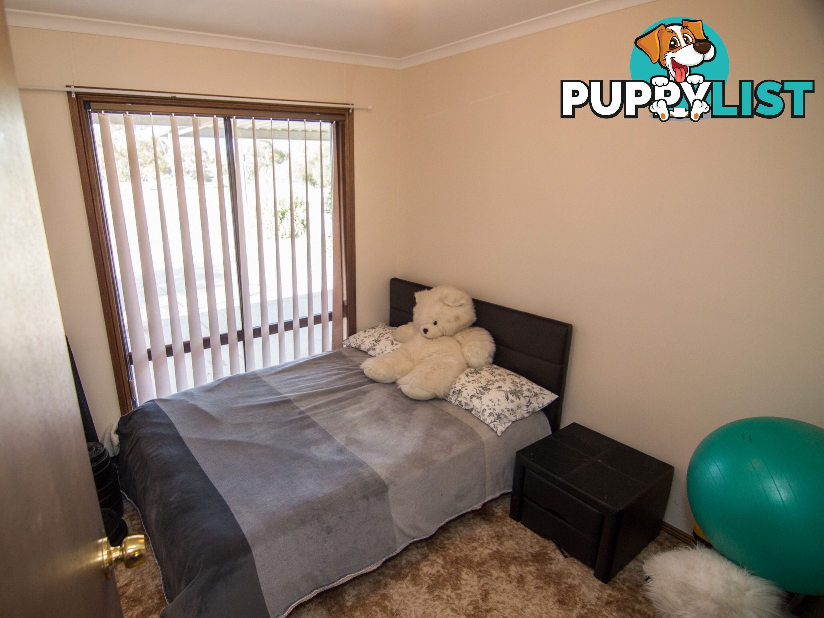 13 Rowe Street COBDOGLA SA 5346