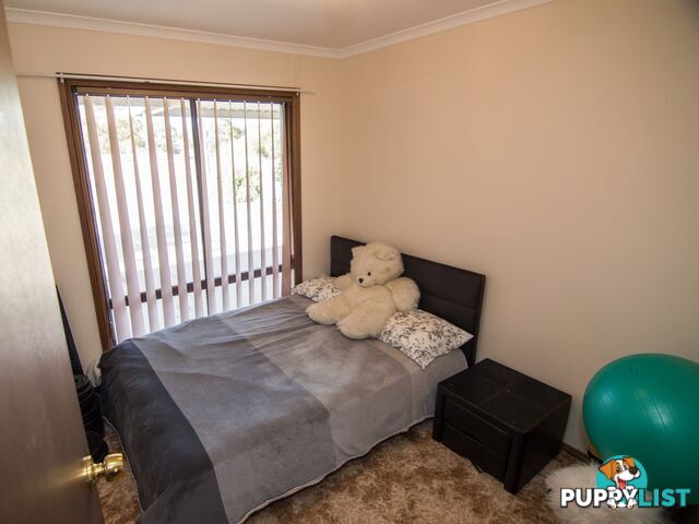 13 Rowe Street COBDOGLA SA 5346