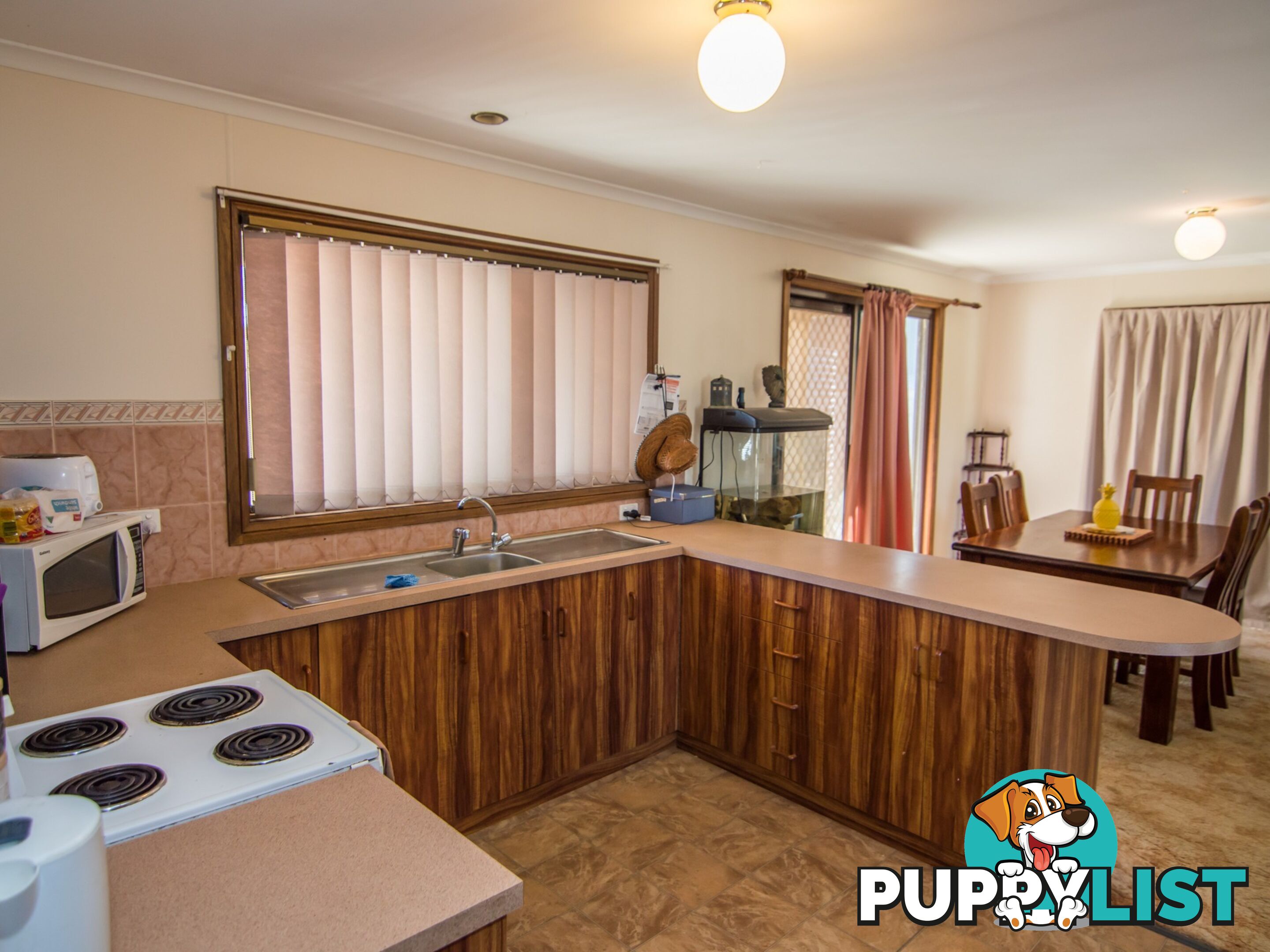 13 Rowe Street COBDOGLA SA 5346
