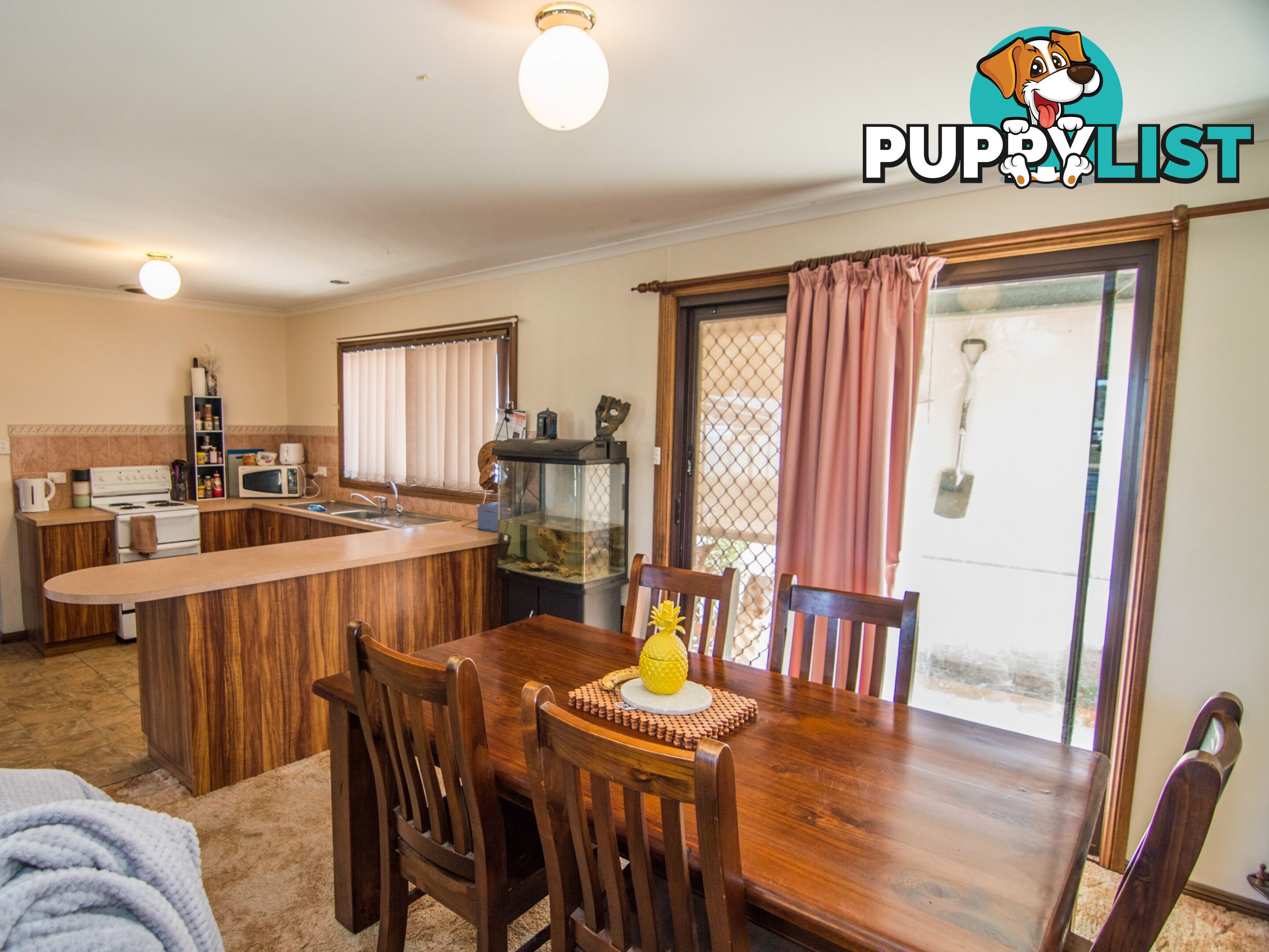 13 Rowe Street COBDOGLA SA 5346
