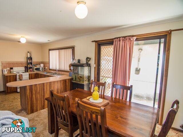 13 Rowe Street COBDOGLA SA 5346