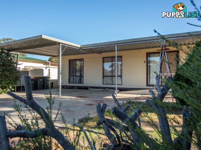 13 Rowe Street COBDOGLA SA 5346