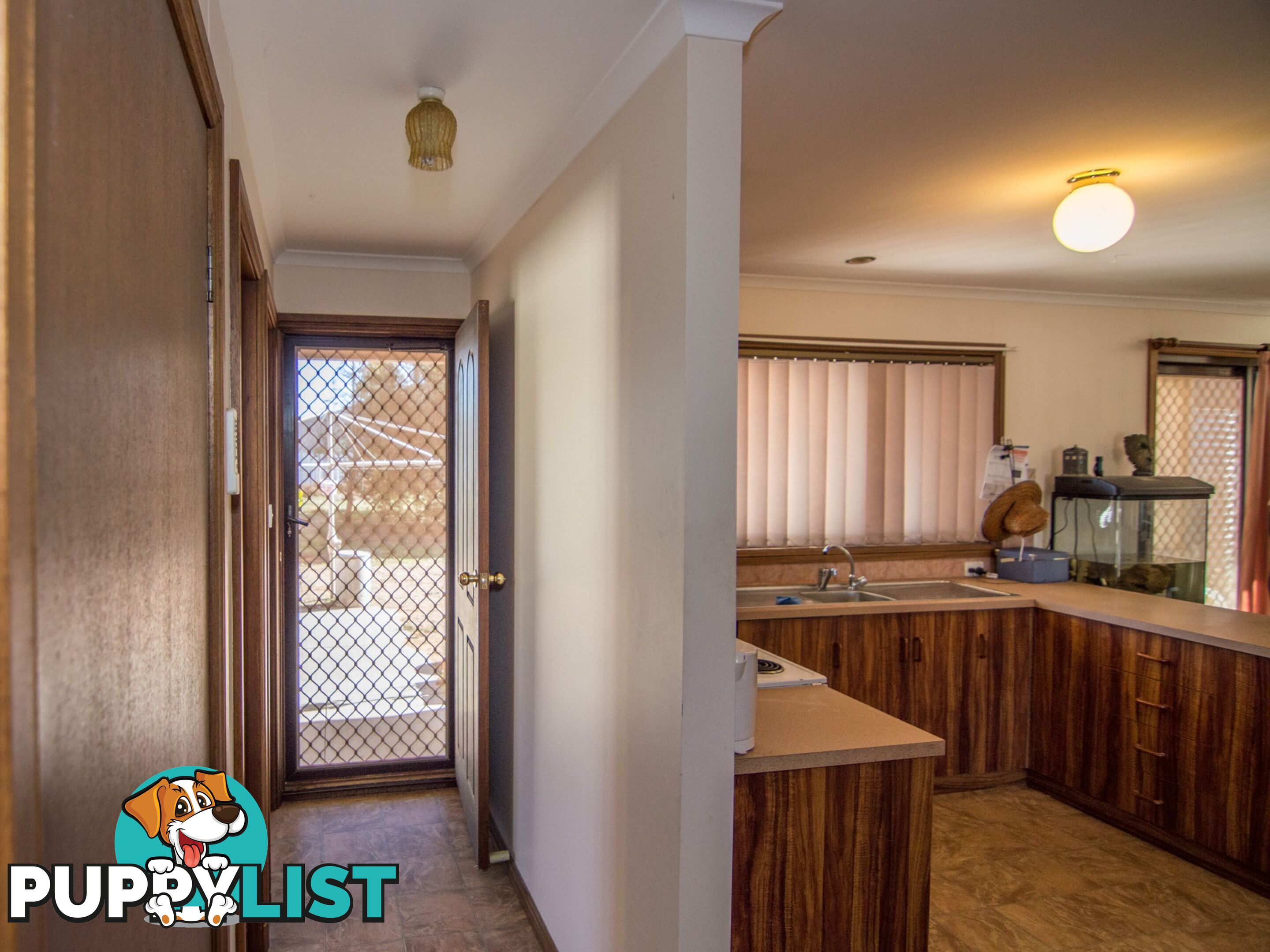 13 Rowe Street COBDOGLA SA 5346