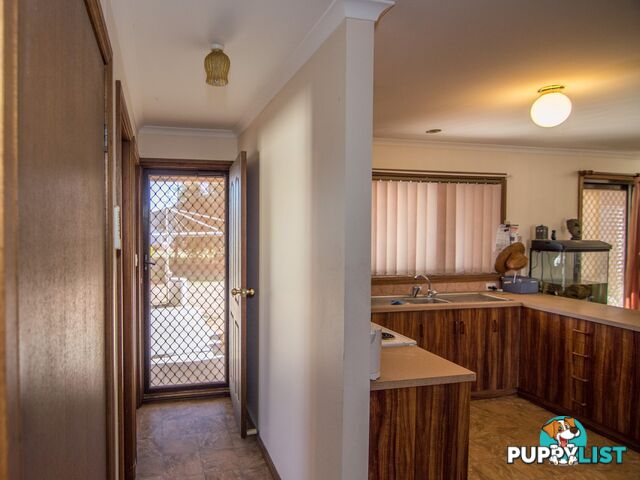 13 Rowe Street COBDOGLA SA 5346