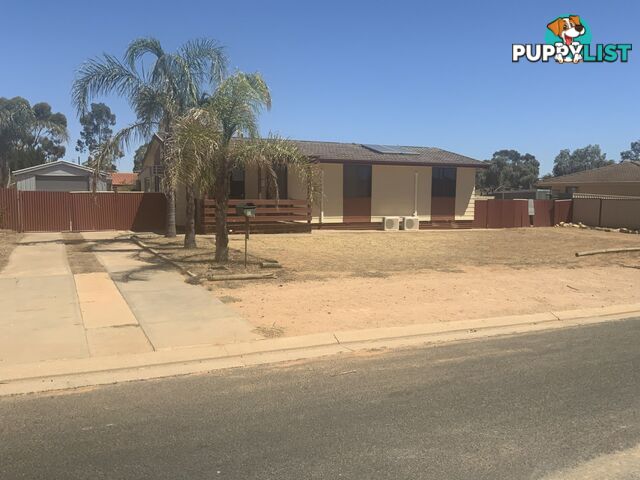 11 Hardwick Street BARMERA SA 5345