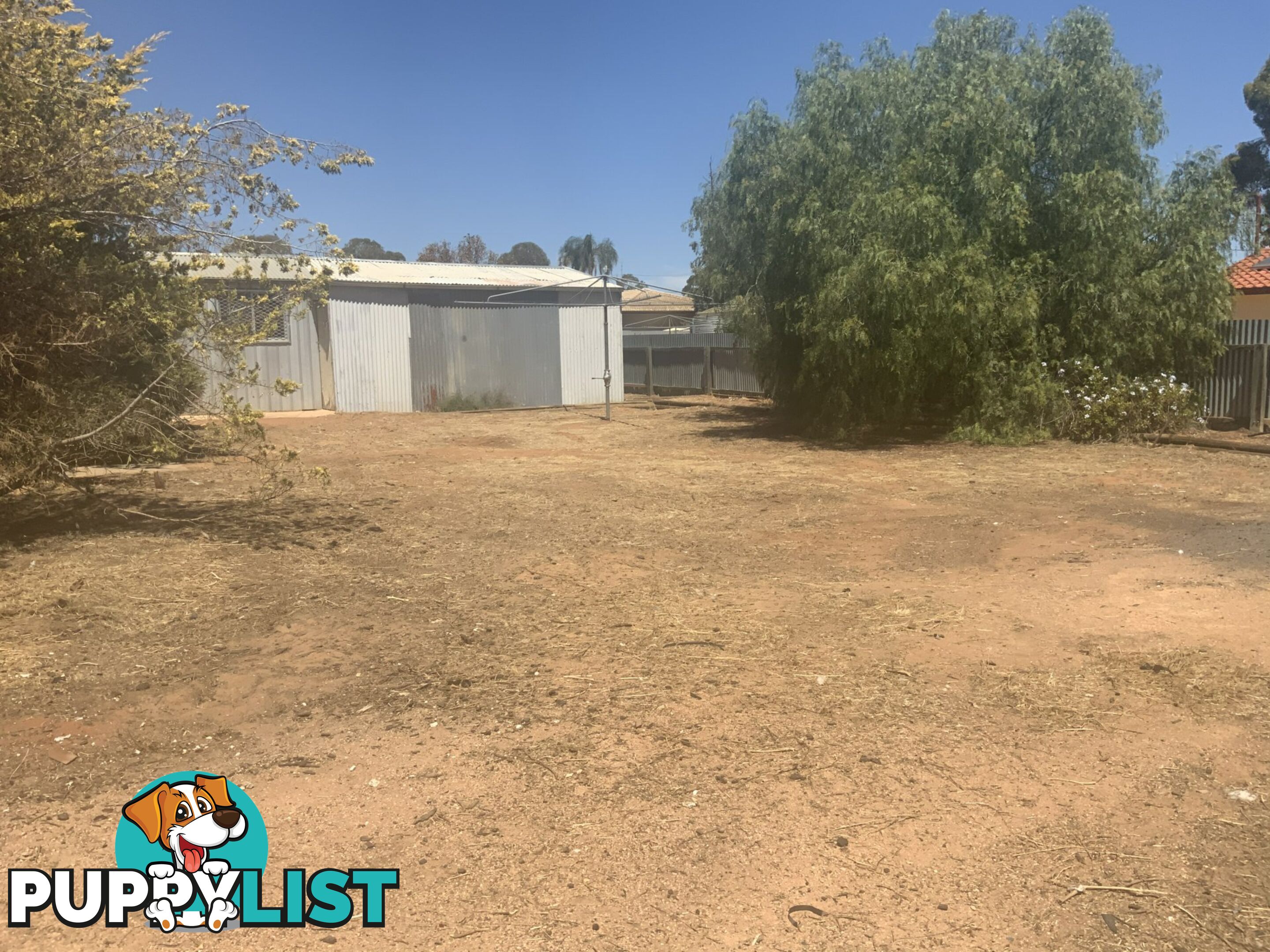 11 Hardwick Street BARMERA SA 5345