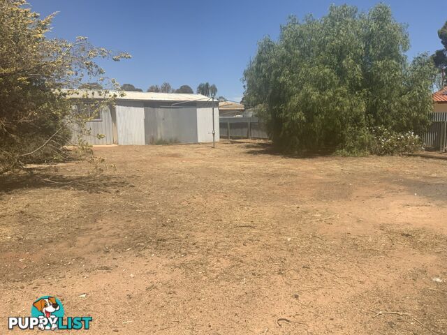 11 Hardwick Street BARMERA SA 5345