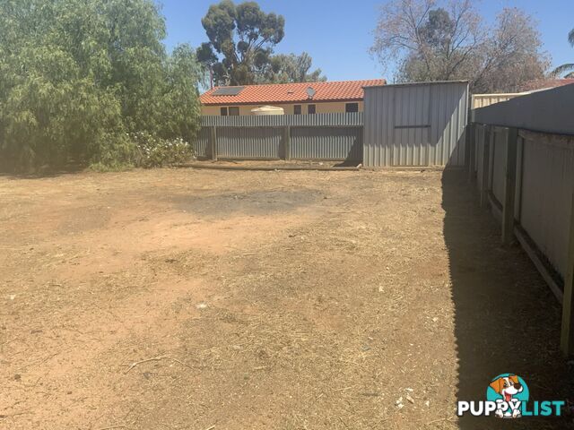 11 Hardwick Street BARMERA SA 5345