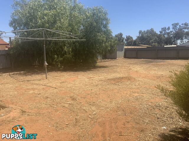 11 Hardwick Street BARMERA SA 5345