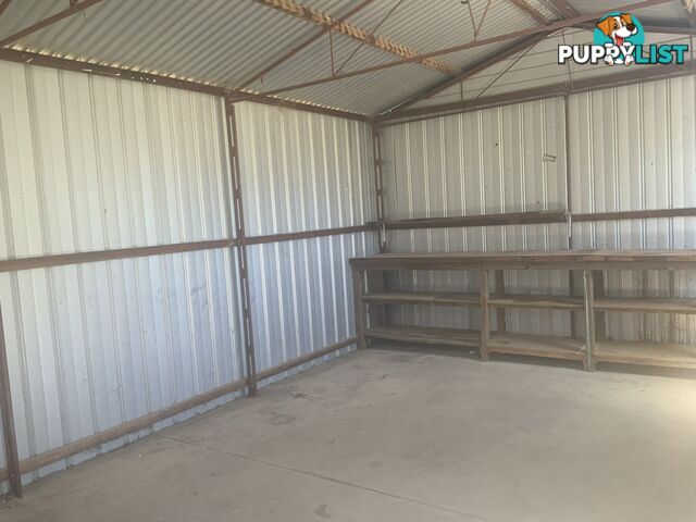 11 Hardwick Street BARMERA SA 5345