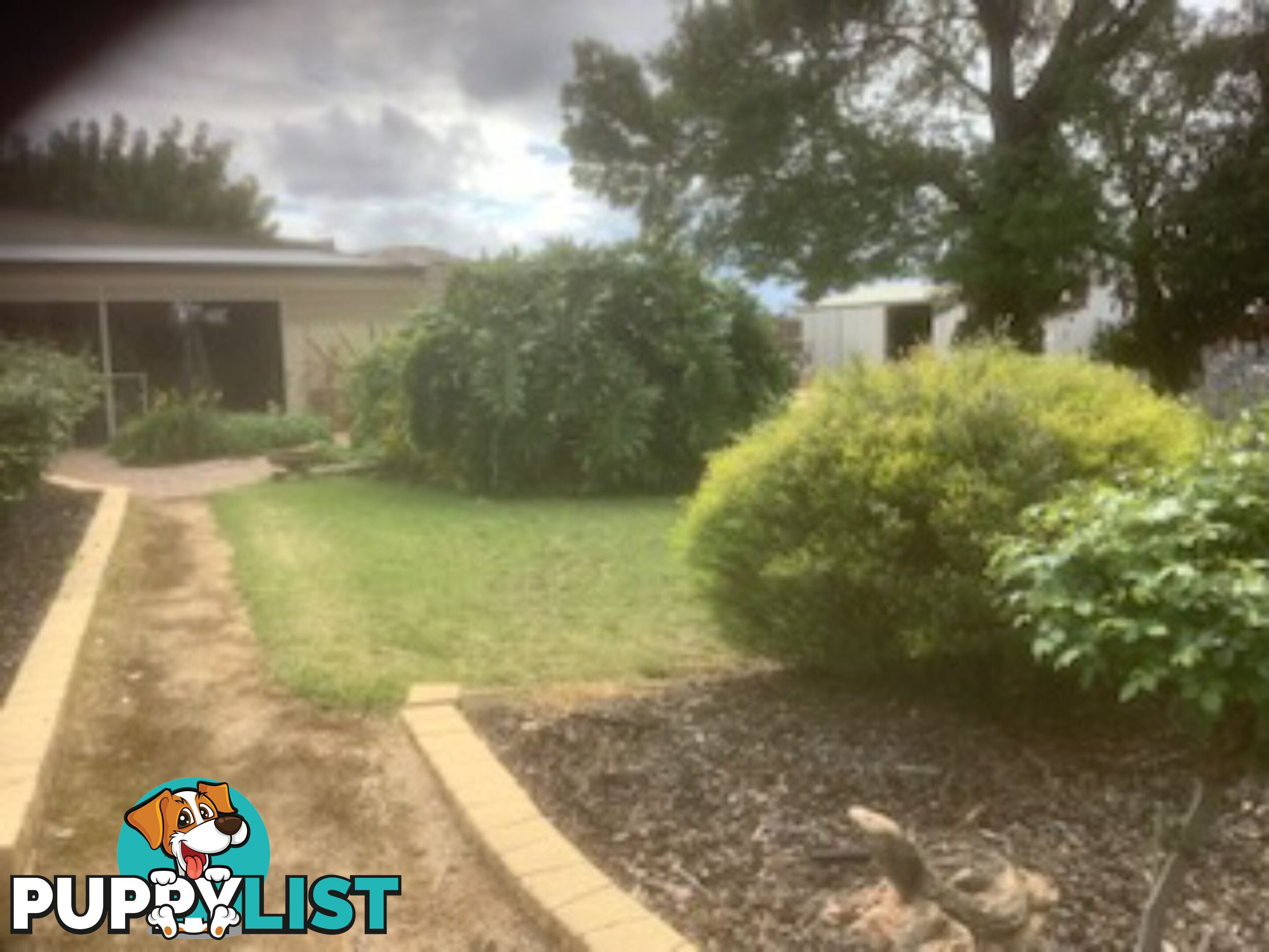 131 Lobban Road MONASH SA 5342