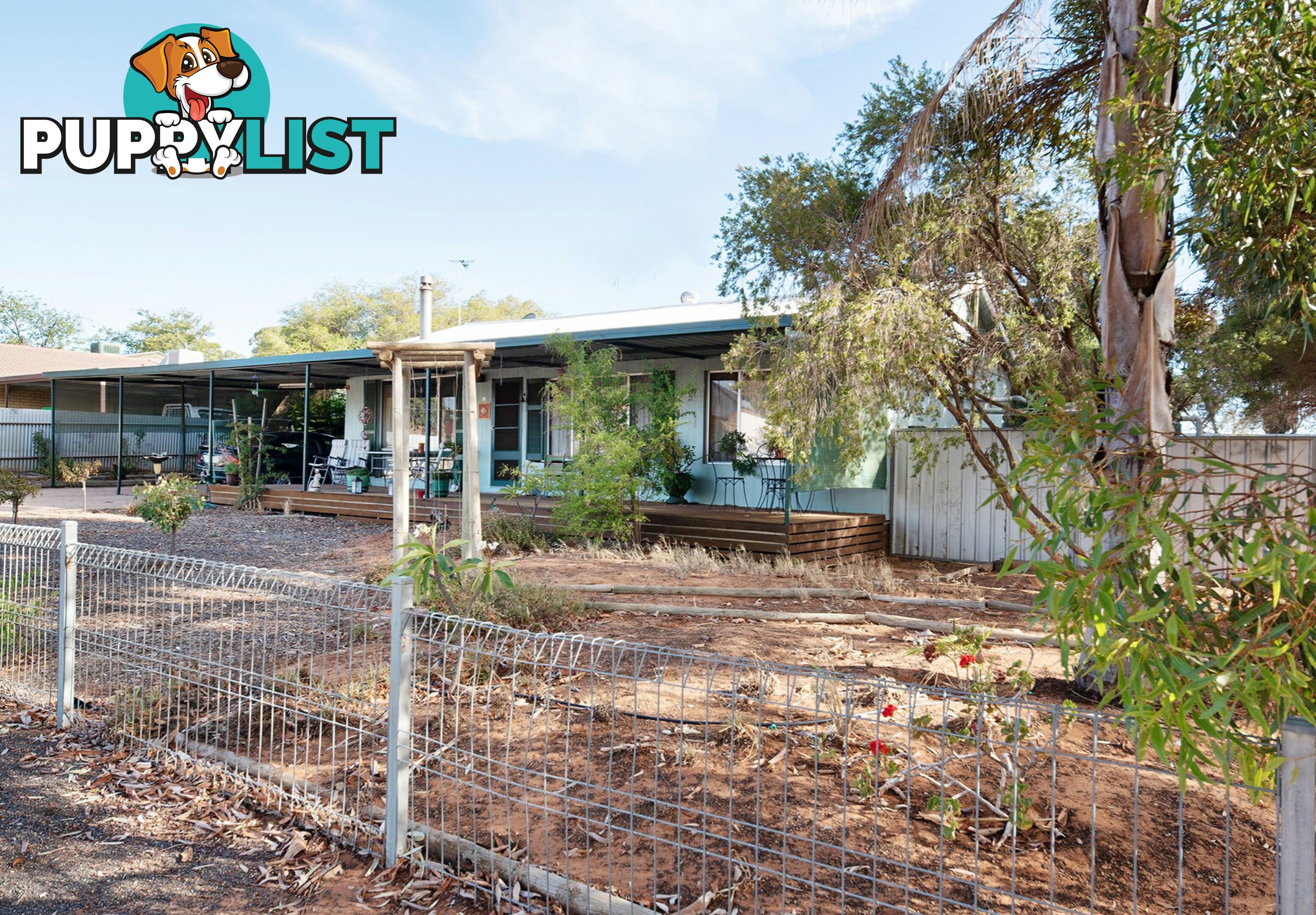 14 Morris Street LOVEDAY SA 5345