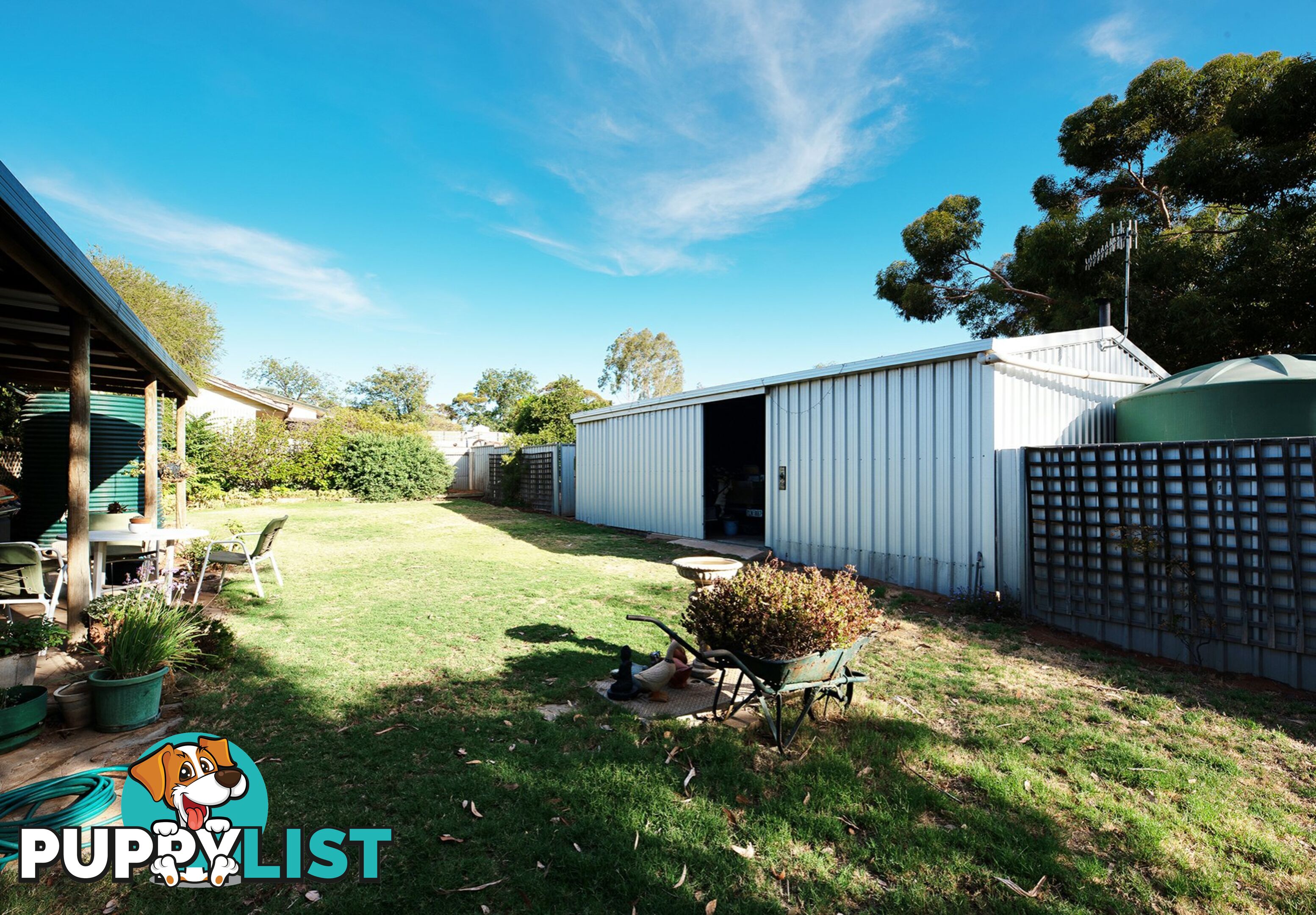 14 Morris Street LOVEDAY SA 5345