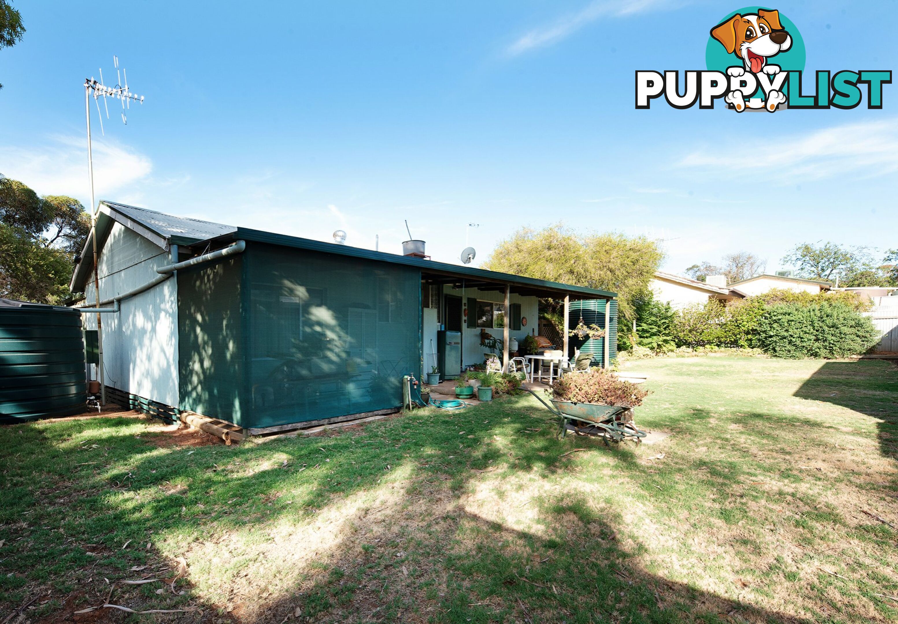 14 Morris Street LOVEDAY SA 5345