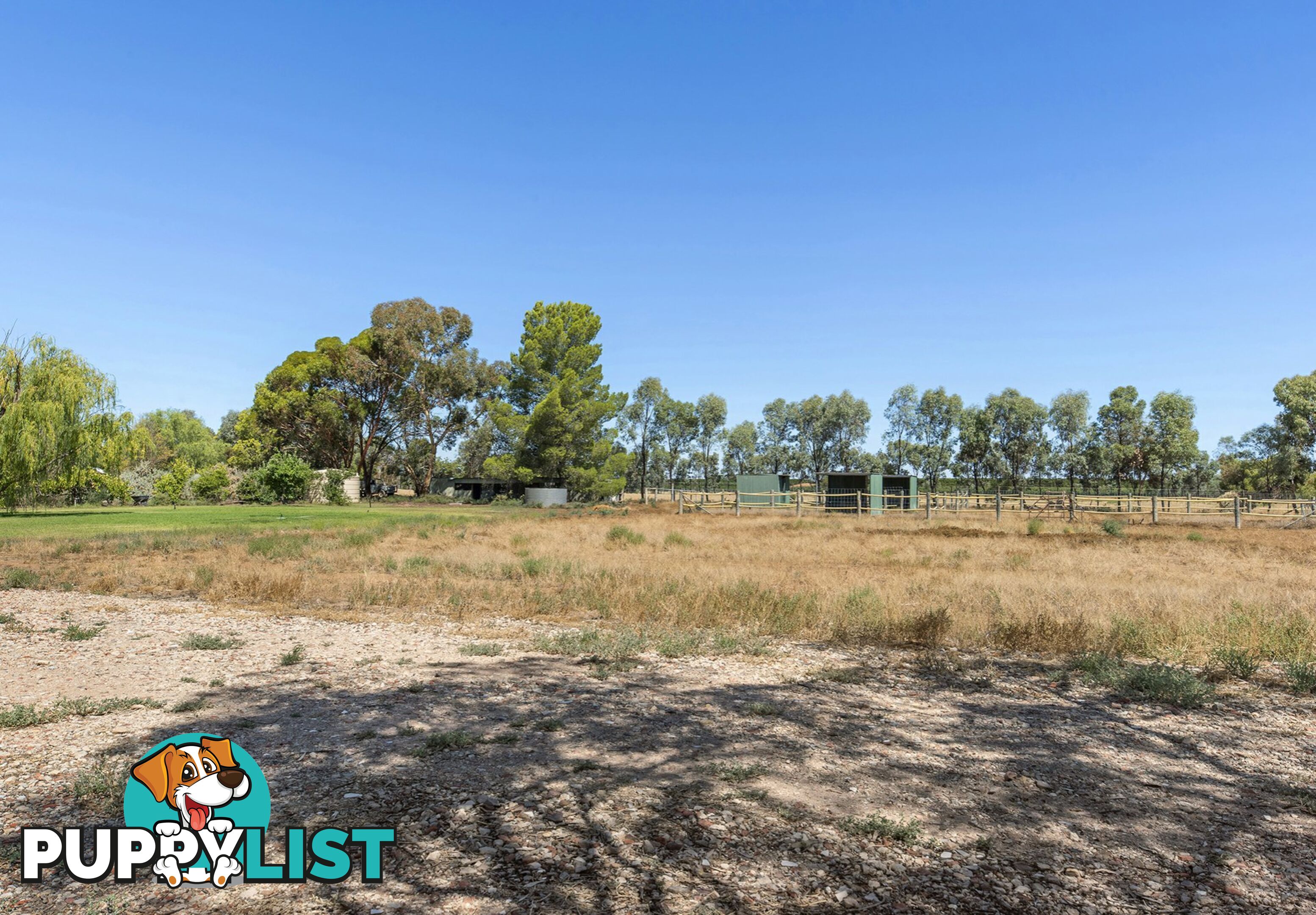 293 Ontario Street RENMARK WEST SA 5341