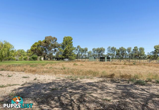 293 Ontario Street RENMARK WEST SA 5341