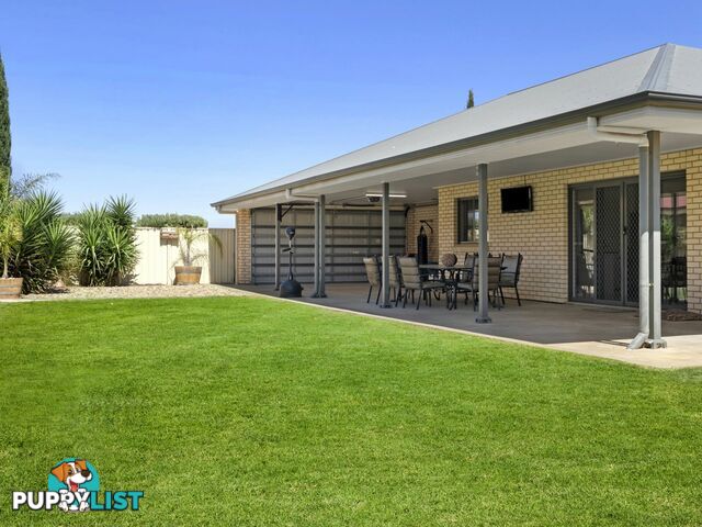 25 Brooke St BARMERA SA 5345