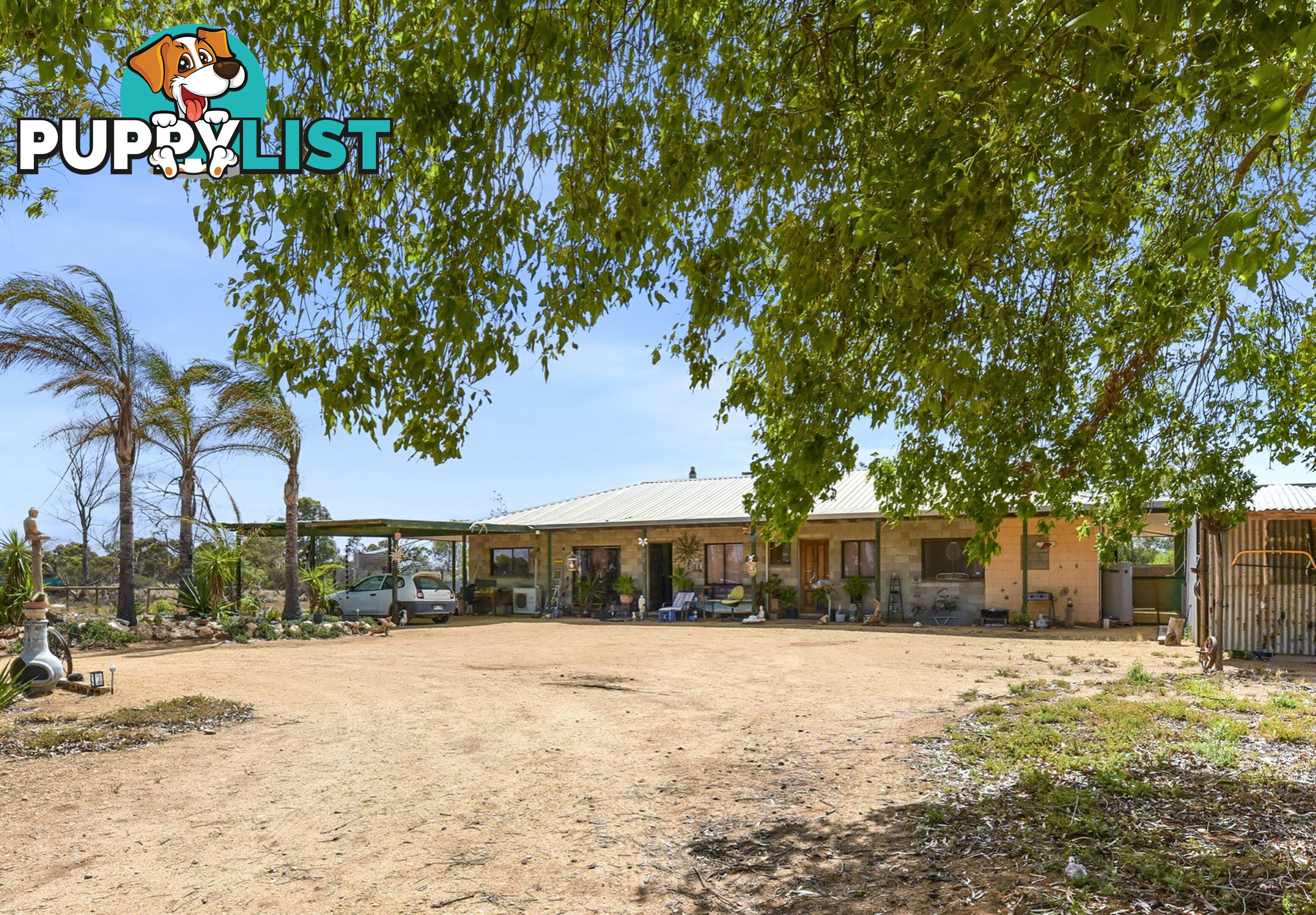 688 Thiele Road LOVEDAY SA 5345