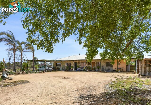 688 Thiele Road LOVEDAY SA 5345