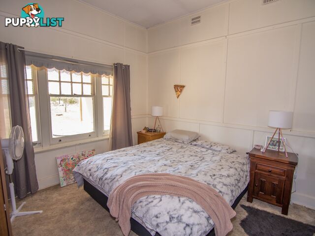302 Gilmour Road BARMERA SA 5345