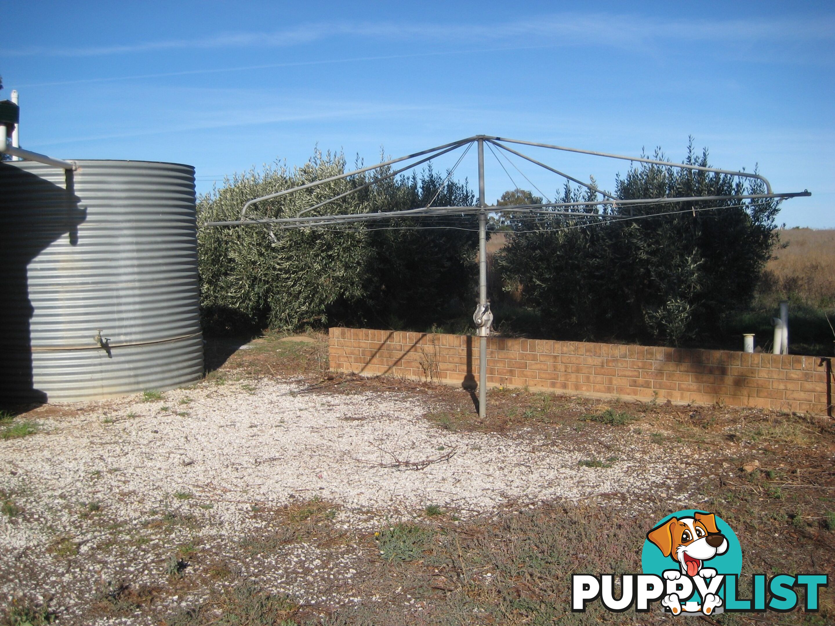 302 Gilmour Road BARMERA SA 5345