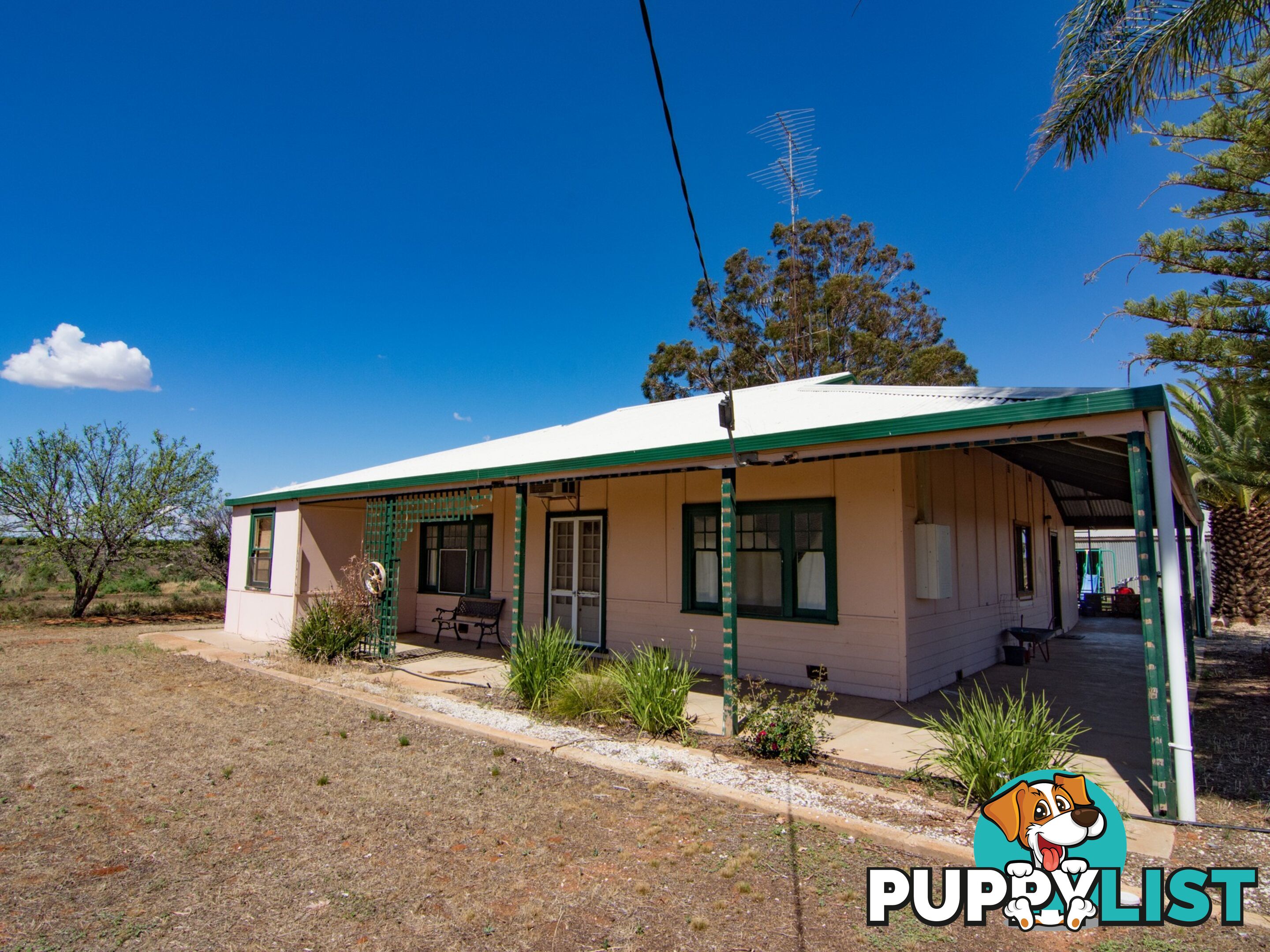 302 Gilmour Road BARMERA SA 5345