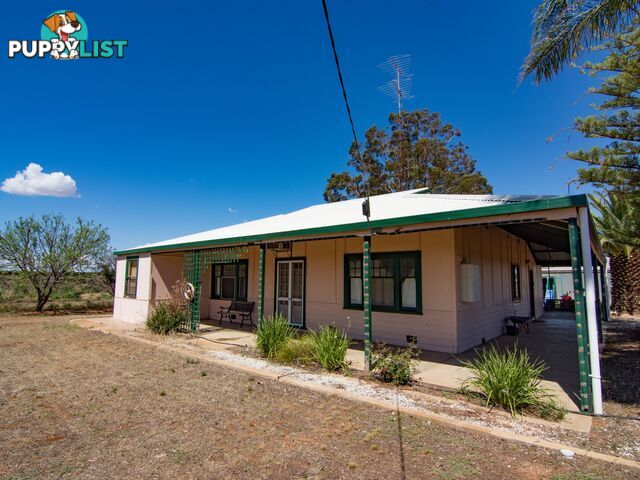 302 Gilmour Road BARMERA SA 5345