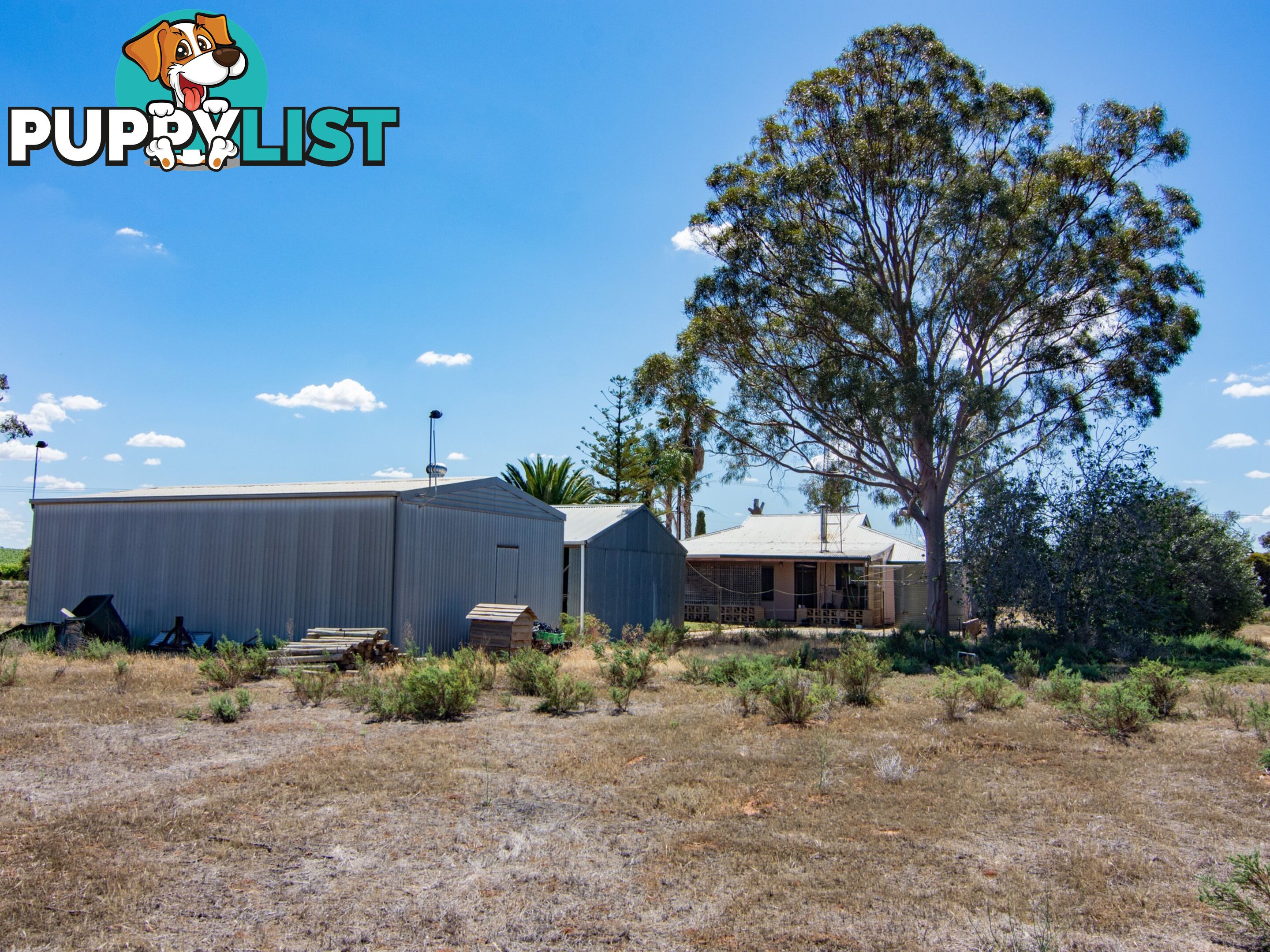 302 Gilmour Road BARMERA SA 5345