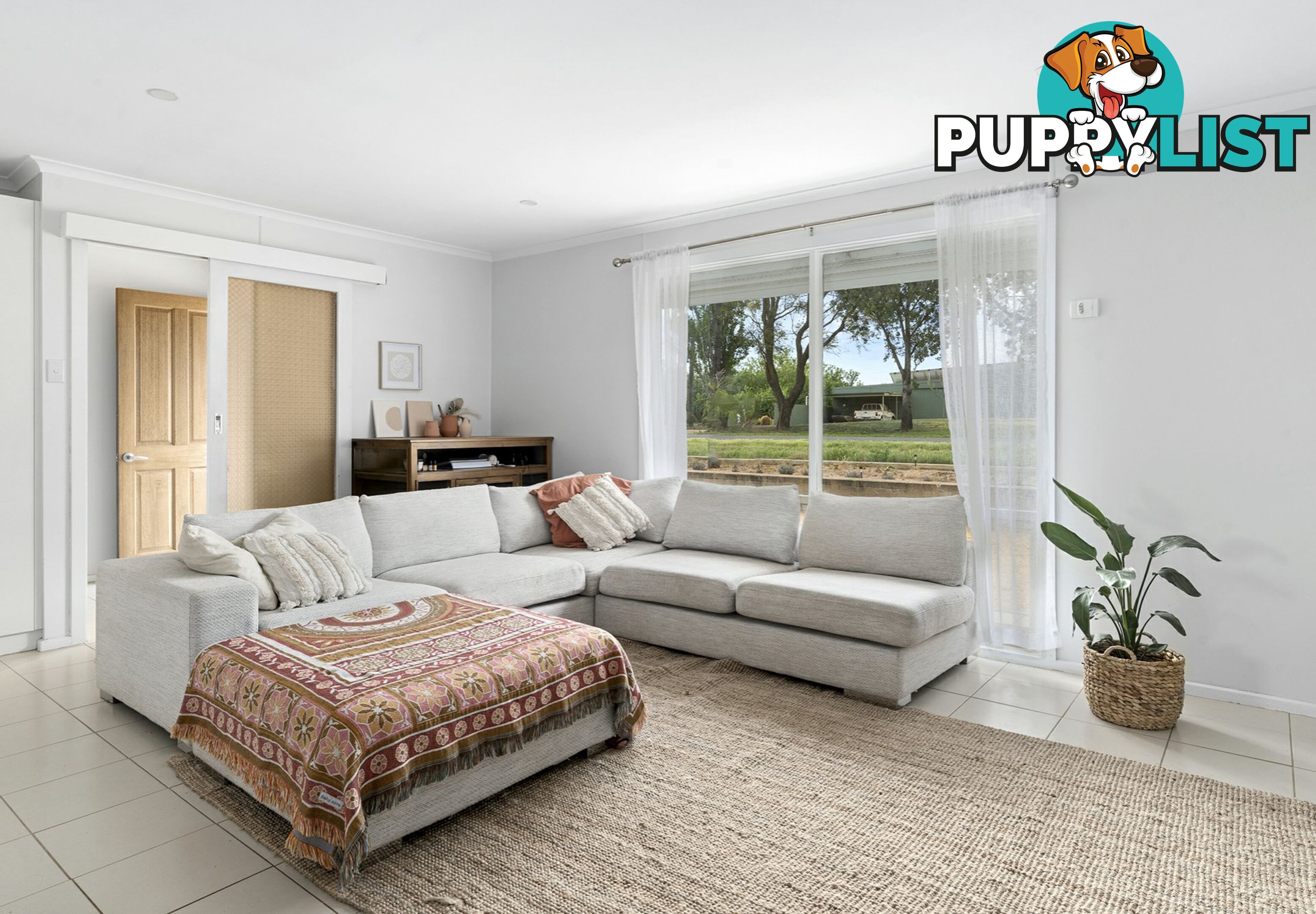 41 Briers Road LOXTON NORTH SA 5333