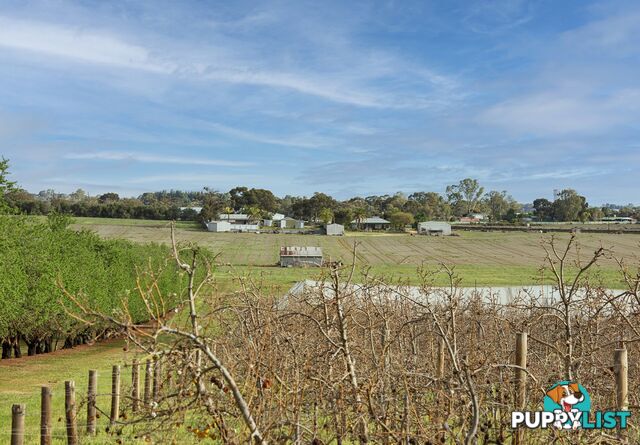 41 Briers Road LOXTON NORTH SA 5333