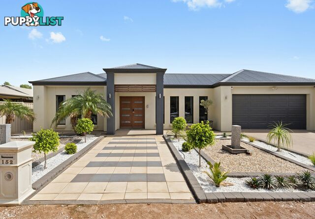 152 Pyap Street RENMARK SA 5341