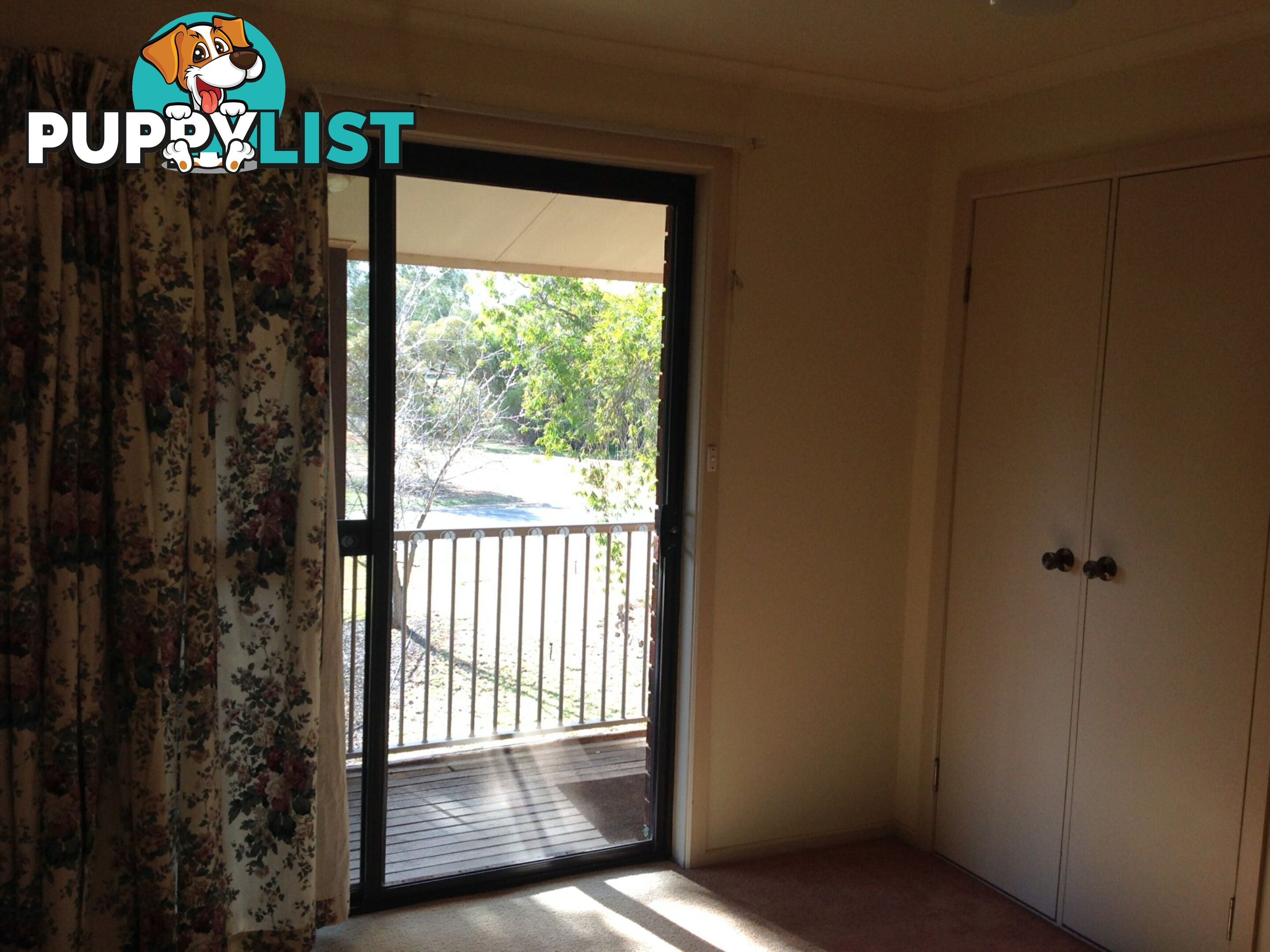 13A Maple Street BARMERA SA 5345