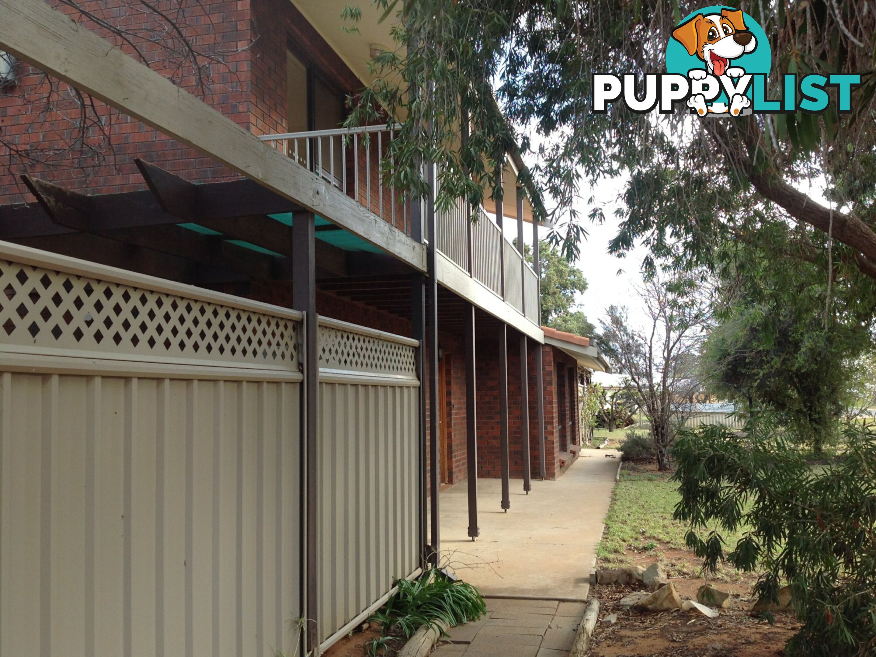13A Maple Street BARMERA SA 5345