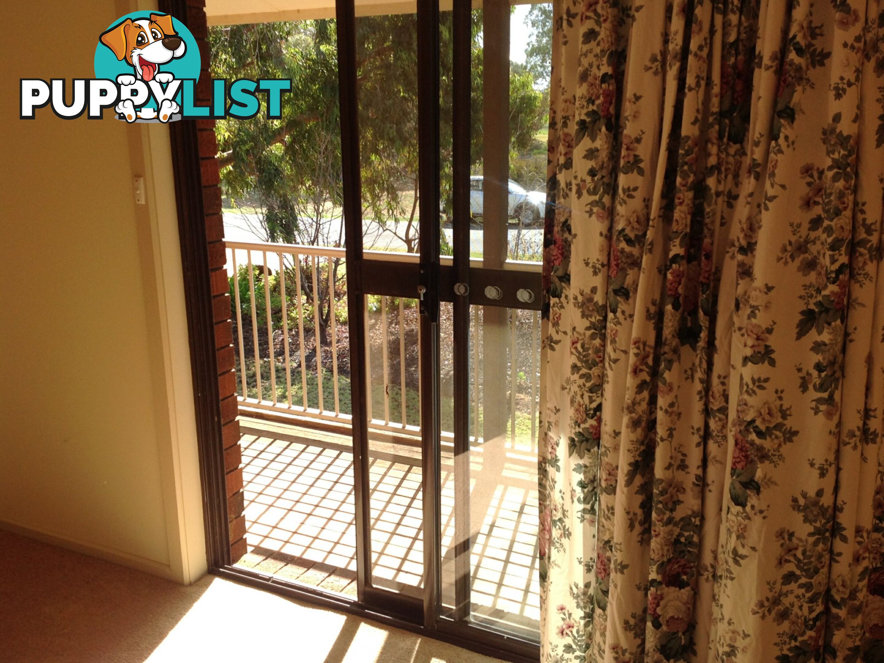 13A Maple Street BARMERA SA 5345