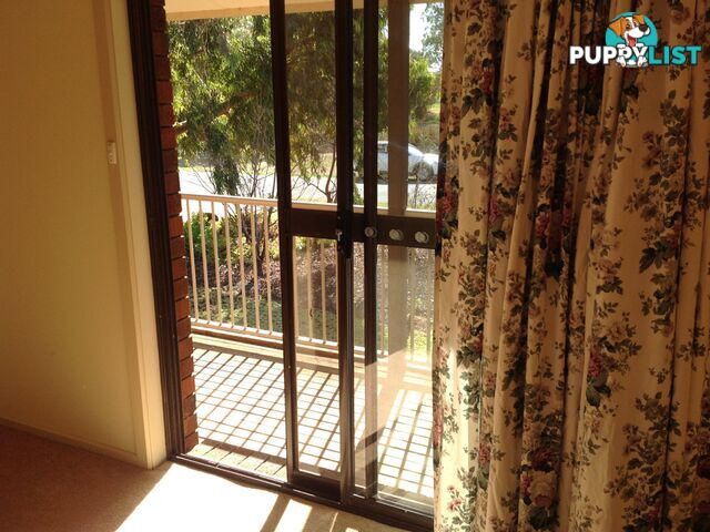 13A Maple Street BARMERA SA 5345